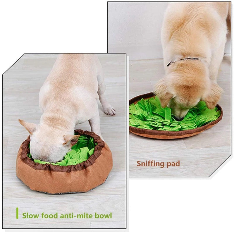 Dog interacting with a sniffing pad and slow food anti-mite bowl on a light wooden floor.