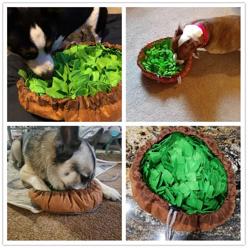 Collage of dogs interacting with a green pet bed on a brown surface.