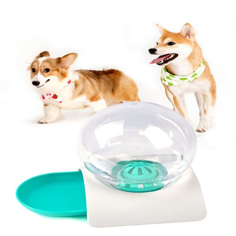 Pet water bowl with two dogs in the background