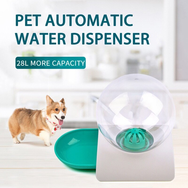 Pet automatic water dispenser with a dog in the background