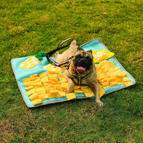 pineapple-party-puzzle-feeder-snuffle-mat