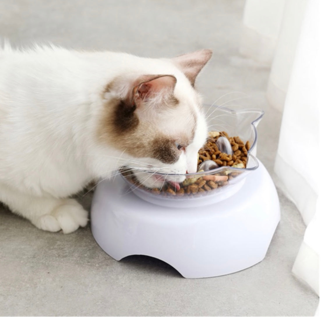 2-in-1 Orthopedic Slow-Feeder Bowl for Cats