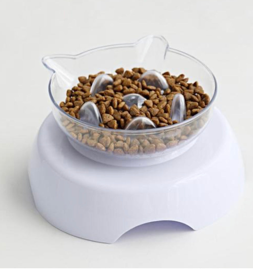 2-in-1 Orthopedic Slow-Feeder Bowl for Cats