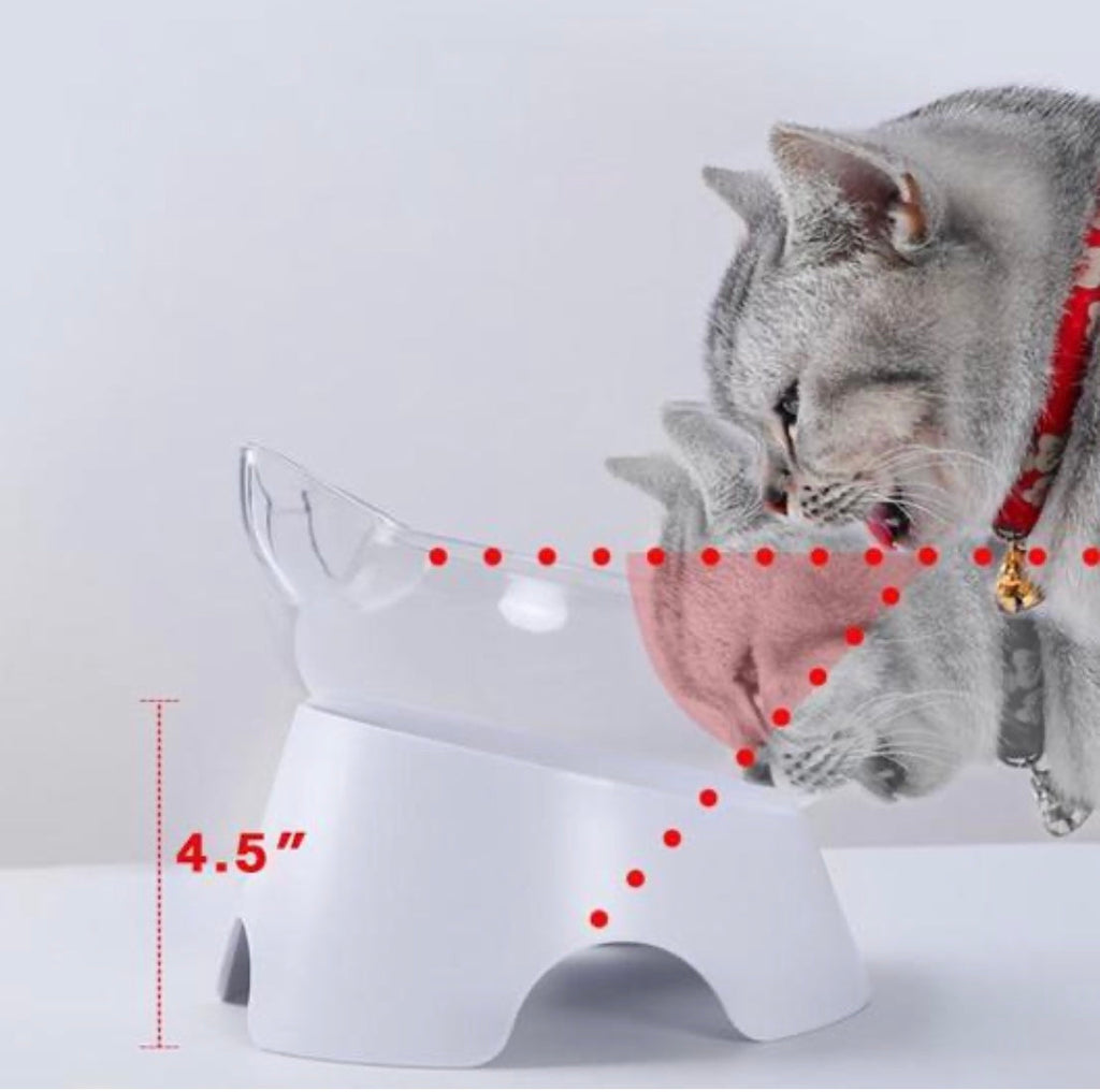 2-in-1 Orthopedic Slow-Feeder Bowl for Cats