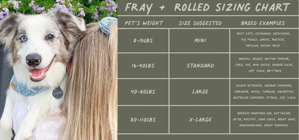 Dog with a size chart for pet hair products on a green background