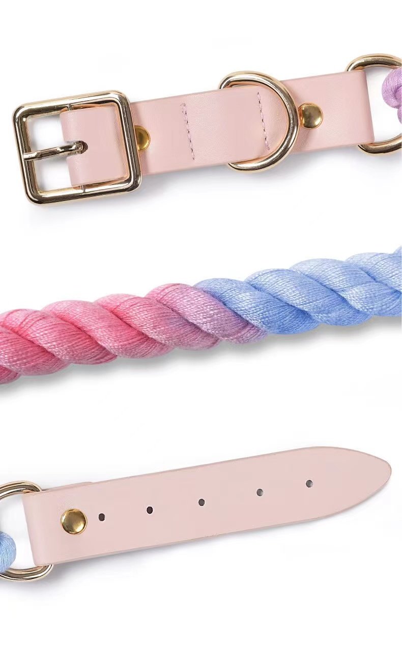 High Quality Stylish Purple Rainbow Dog Leash Cotton Rope Luxury Metal Hardware-2