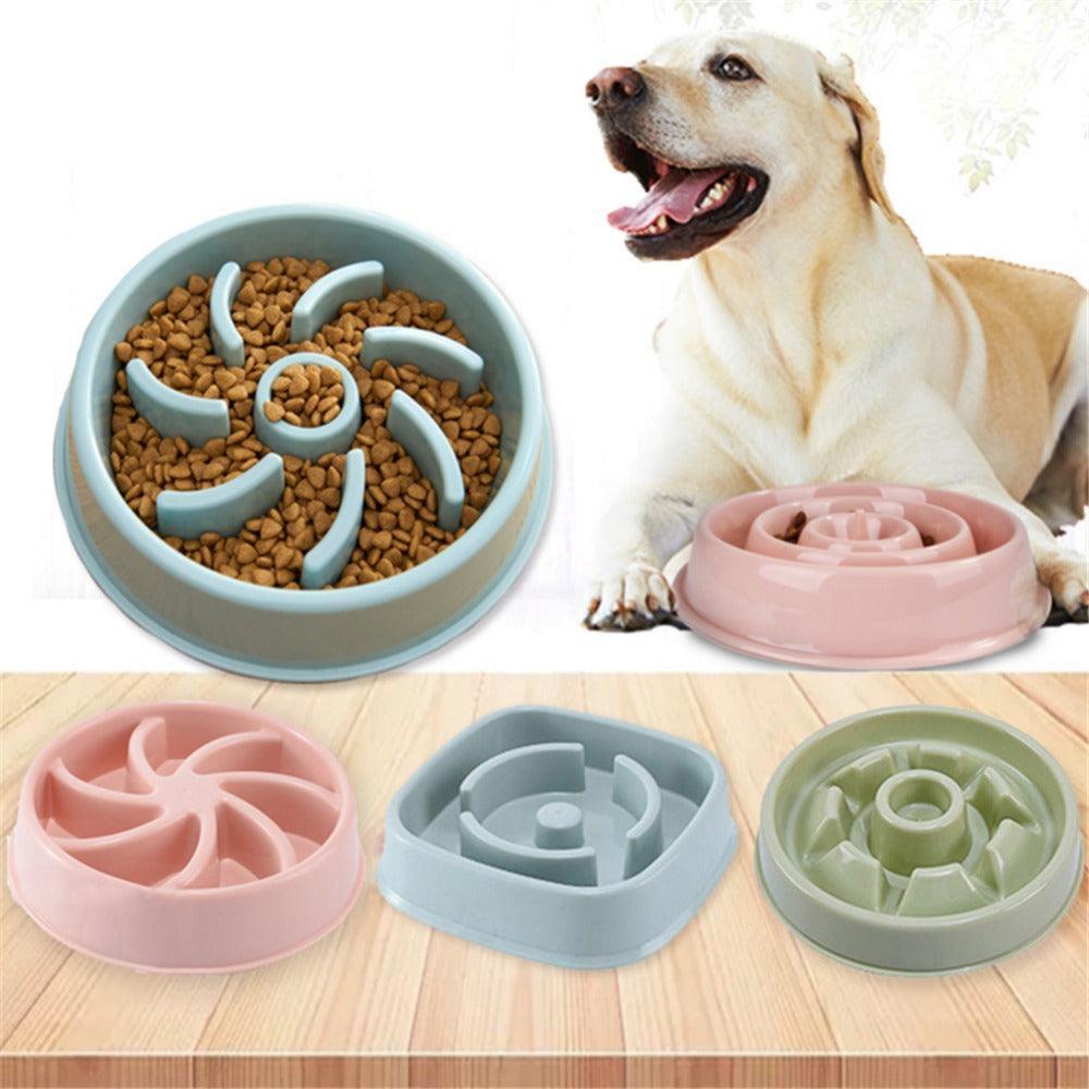 Dog eating from a slow feed bowl, with additional bowls in different colors on a wooden surface.