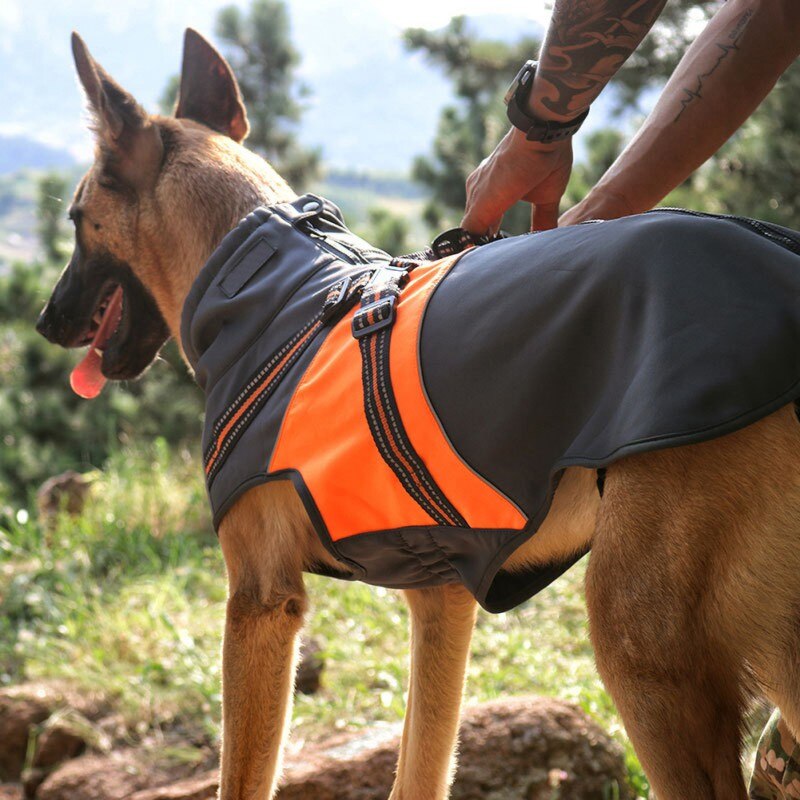 Warm & Waterproof All-Season Dog Jacket
