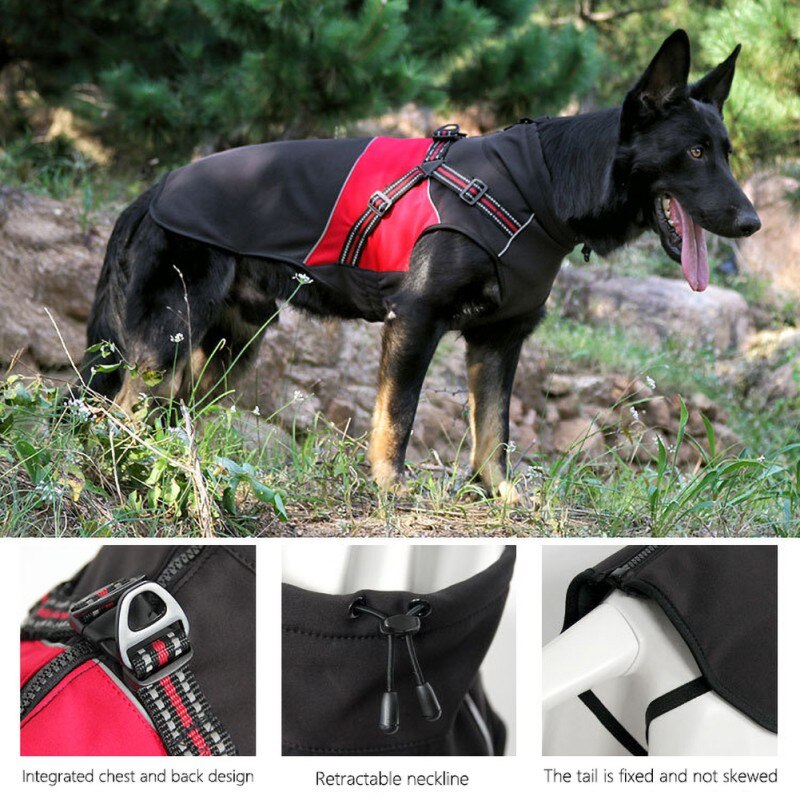 Warm & Waterproof All-Season Dog Jacket